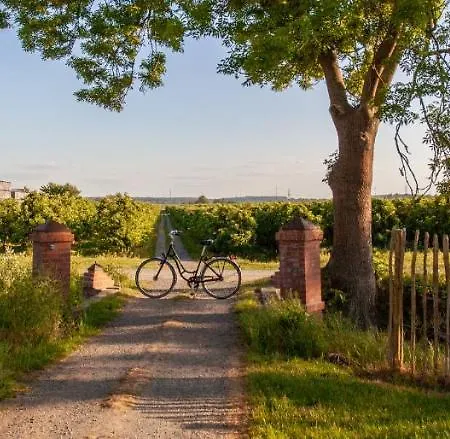 Vakantiehuis Apfelhof Wegener Elstar Topaz *